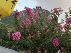 -禅宗少林·音乐大典