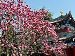 -西安市广仁寺