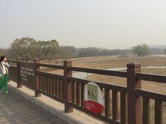 -北京麋鹿生态实验中心