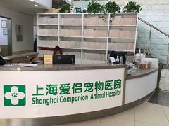 -爱侣宠医·鹦鹉专科·小型哺乳类·异宠专科(灵石路店)