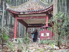 -宝石山