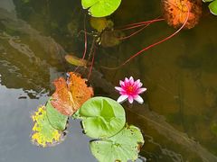 -苏州太湖湖滨国家湿地公园