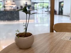 -轻蔬不用等·素食(江苏路店)