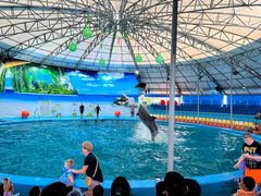 -尼莫海豚馆