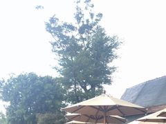 -七彩云南古滇温泉山庄