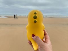 -日照海滨国家森林公园