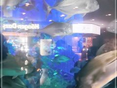 -成都浩海立方海洋公园