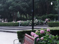 -常州古运河南大街文化旅游区-人民公园