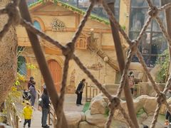 -杭州开元森泊度假乐园