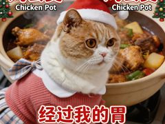 -重庆鸡公煲·青锅花椒鱼(宝山一店)