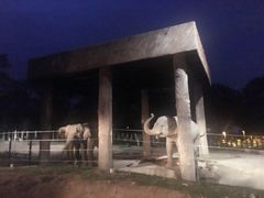 -清迈夜间动物园