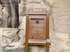 -蛇蟠岛