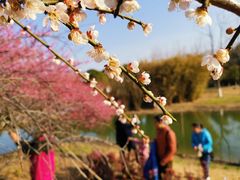 -白塘生态植物园