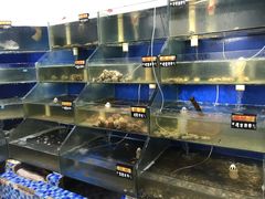 水产区-雅逸居海鲜小厨