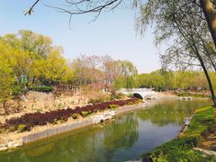 -大兴滨河森林公园