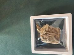 -房山世界地质公园博物馆