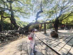 -小洲村