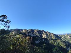 -大岭沟猕猴桃谷风景区