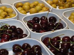 -水之梦(黄浦店)