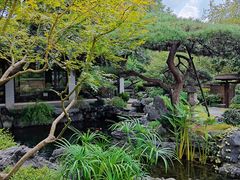 -新荣记(西溪湿地店)