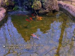-林间山庄