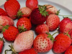 -山东八大碗山东老字号