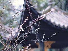-常德桃花源景区