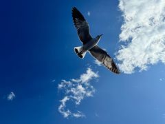 -丽江泸沽湖景区