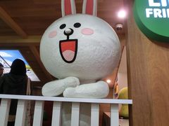 -line friends(明洞旗舰店)