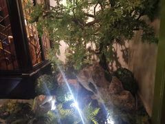-贝勒爷·酥不腻烤鸭