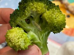 -Bco豆库(星耀天地店)