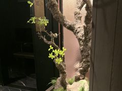 -苏淮景·苏闽融创菜·海鲜(原空港井河轩店)