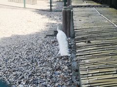 -南京金牛湖风景区