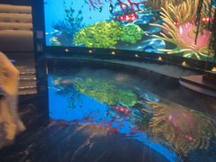 -唐宫足道·SPA·住宿24H会所(木渎店)