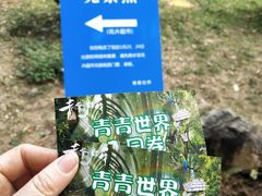 -青青世界