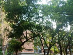 -广东外语外贸大学(白云山校区)