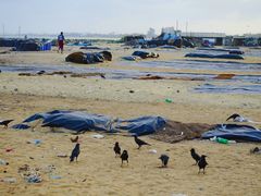 -尼甘布海鲜市场