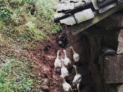 -金堂县云顶石城风景区