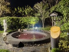 -扬州瘦西湖温泉