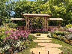 -上海共青森林公园