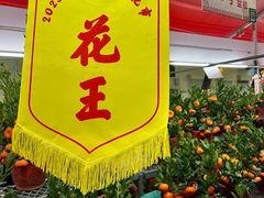 -越秀西湖花市(广州城市广场花卉店)
