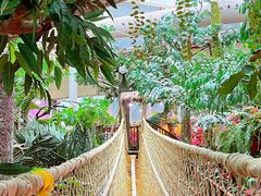 -正佳雨林生态植物园