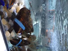 iphone_upload_pic-海神·济州岛海鲜料理(天乐广场店)