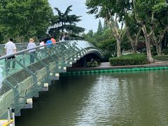 -红梅公园