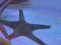 -海合安武汉极地海洋公园