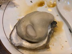 -土蚝·高压锅生蚝(百姓美食街店)