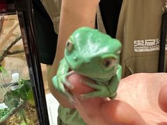 -上海昆虫博物馆