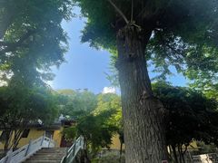 -狼山风景名胜区