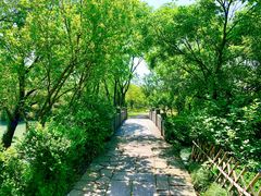 -西溪国家湿地公园