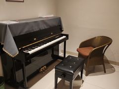 -朗韵钢琴学校(中环金界店)